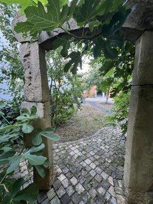 Ansicht vom Garten auf Büro