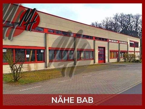 Obertshausen Halle, Obertshausen Hallenfläche