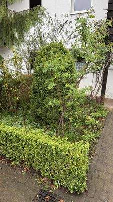 Vorderhaus Grünfläche