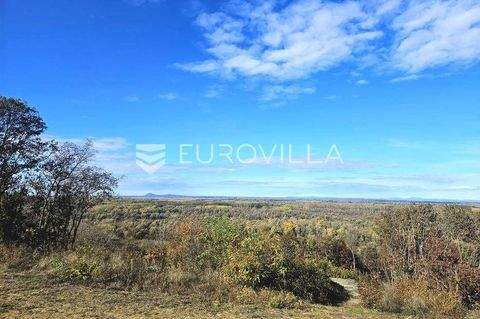 Draz Bauernhöfe, Landwirtschaft, Draz Forstwirtschaft