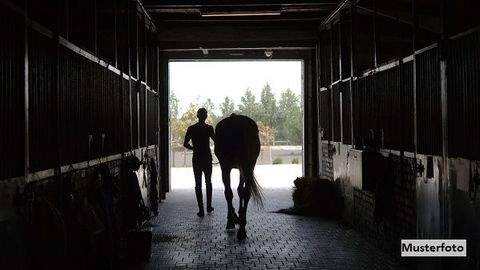 Andernach Halle, Andernach Hallenfläche