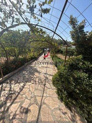 WhatsApp Image 2024-09-06 at 10.30.40 (5).jpeg