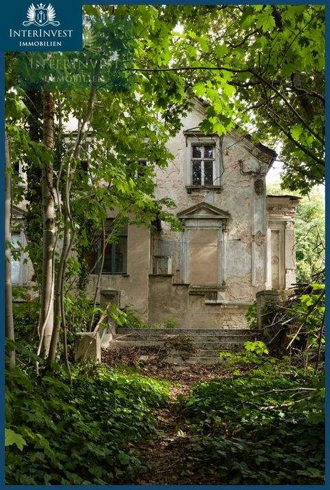 Egeln Häuser, Egeln Haus kaufen