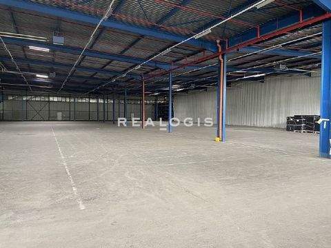 Soltau Halle, Soltau Hallenfläche