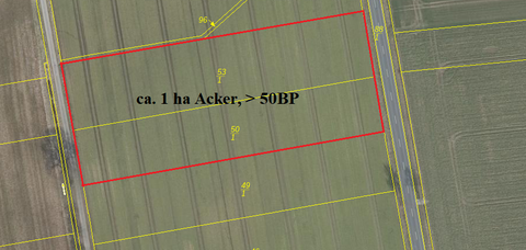 Wittingen Bauernhöfe, Landwirtschaft, Wittingen Forstwirtschaft