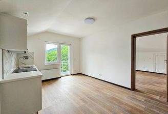 Küche mit Wohn-/Essbereich