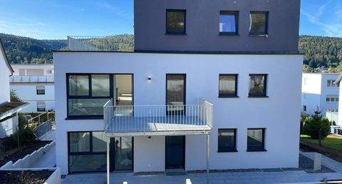 Tuttlingen Wohnungen, Tuttlingen Wohnung mieten