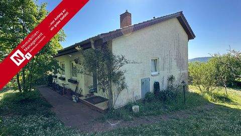 Eisenberg / Steinborn Häuser, Eisenberg / Steinborn Haus kaufen