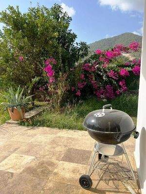 WhatsApp Image 2023-11-07 at 16.19.15 (1).jpeg