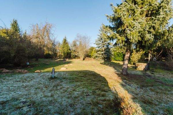 Platz für Ihren grünen Daumen