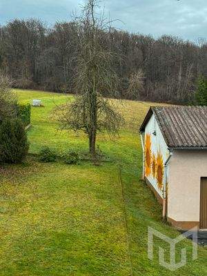 der Blick ins Grüne