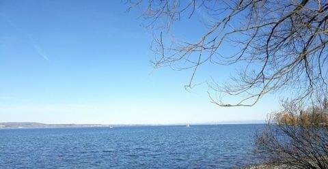 Zürich Häuser, Zürich Haus kaufen