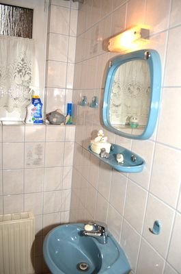 Gäste-Dusche im EG