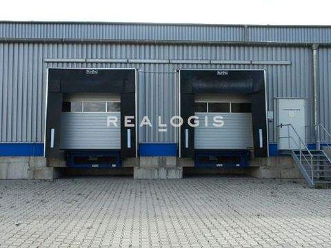 Ludwigsfelde Halle, Ludwigsfelde Hallenfläche