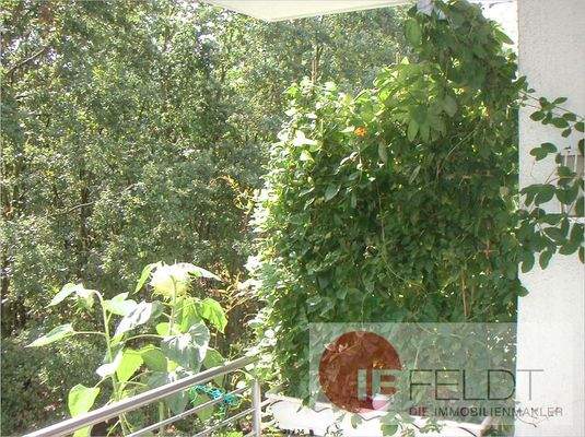 Blick vom Balkon in den Wald