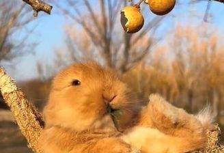 Ostern