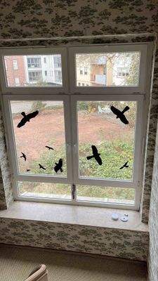 Wandfenster Halbetage.jpg