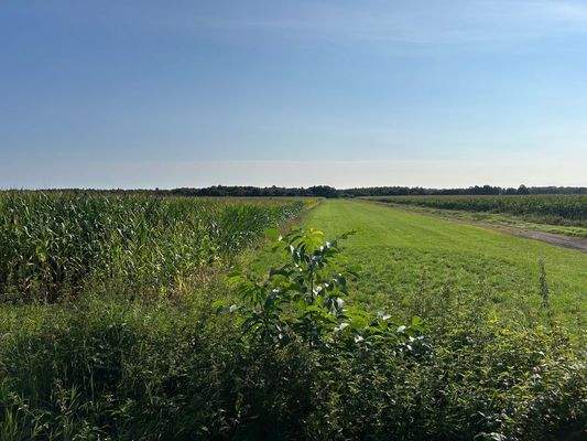 gegenüberliegende Straßenseite