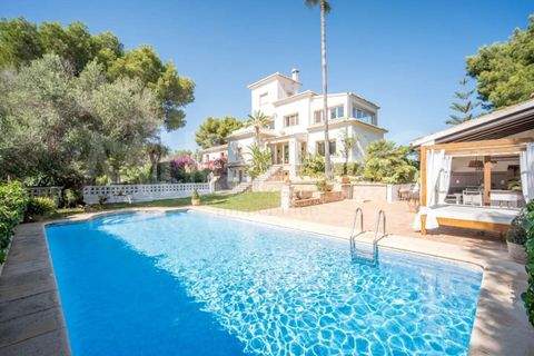 Costa Nova Häuser, Costa Nova Haus kaufen