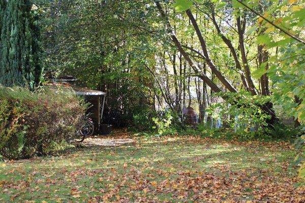 Garten/Grundstück hinten