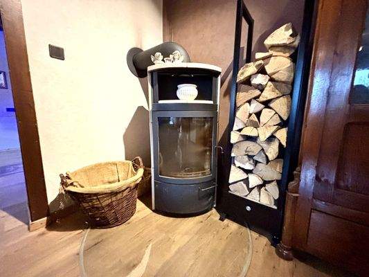 Kaminofen voll funktionsfähig