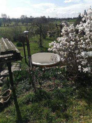 Badezuber mit Gartenblick und Magnolie