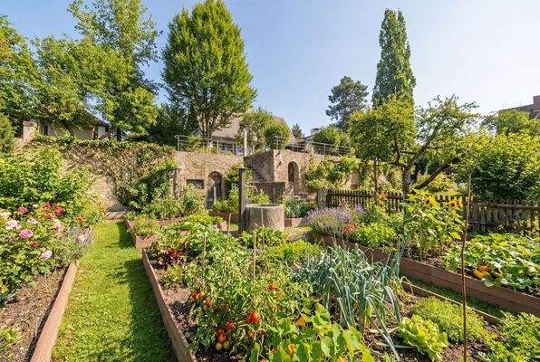 Bauerngarten im Sommer