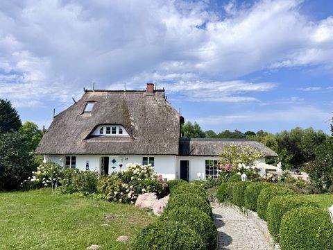 Putbus / Neukamp Wohnungen, Putbus / Neukamp Wohnung mieten