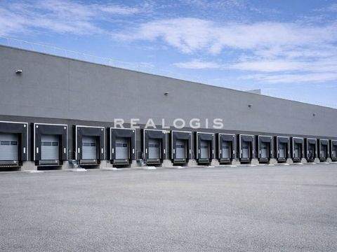 Bruchsal Halle, Bruchsal Hallenfläche