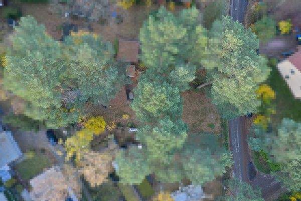 Luftaufnahme Draufsicht