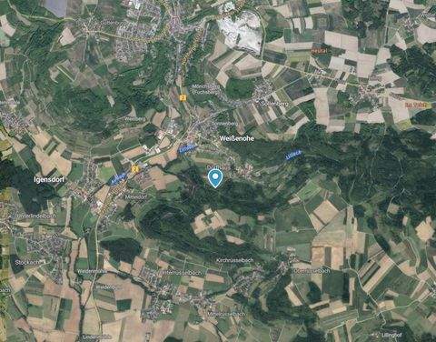 Weißenohe Bauernhöfe, Landwirtschaft, Weißenohe Forstwirtschaft