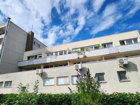 Konstanz Wohnungen, Konstanz Wohnung kaufen