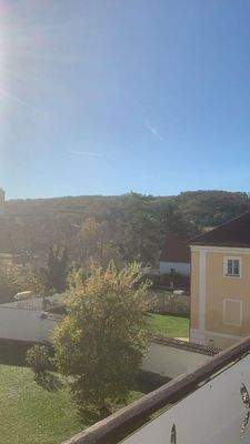 Blick von der Terasse