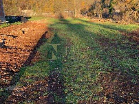 Dobrinj Bauernhöfe, Landwirtschaft, Dobrinj Forstwirtschaft