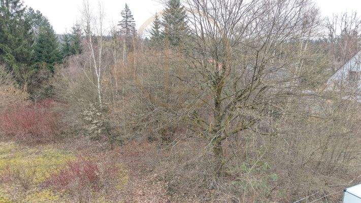 linke-Seite-Grundstueck-Vogelhof-Elsterweg