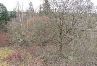 linke-Seite-Grundstueck-Vogelhof-Elsterweg