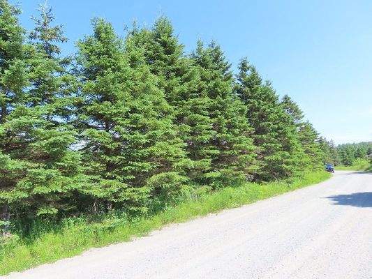 Cape Breton - Soldiers Cove - 13,6 Hektar-Areal mi