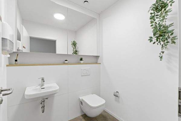 Alexander Immobilien