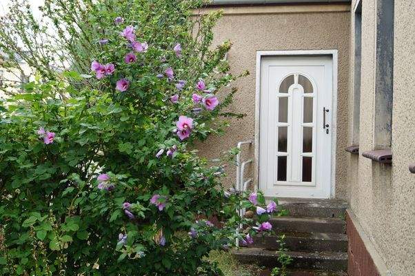 Zugang straßenseitig