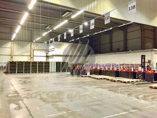 INFOS UNTER: 06171-586000