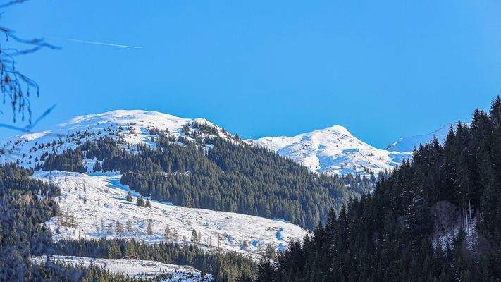 KITZIMMO-Historischen Anwesen mit 3.800 m² Grund in Ruhelage - Immobilien Jochberg.