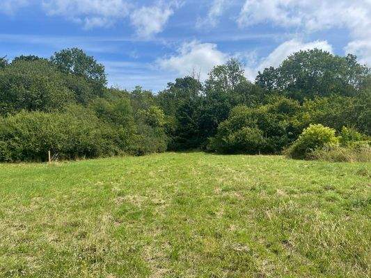 Blick Richtung Grundstück 2