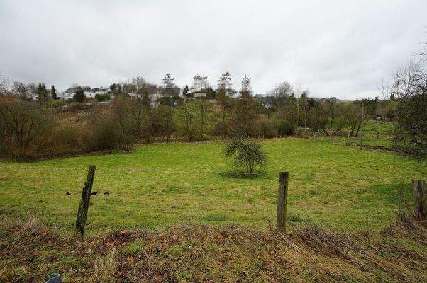 Blickrichtung Norden Ende der Grundstücks