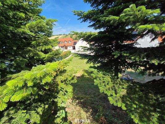 Blick vom hinteren Teil des Grunstsücks