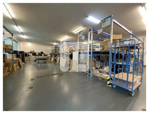 Hamburg Halle, Hamburg Hallenfläche