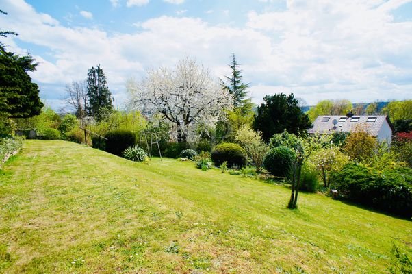 Blick in den Garten