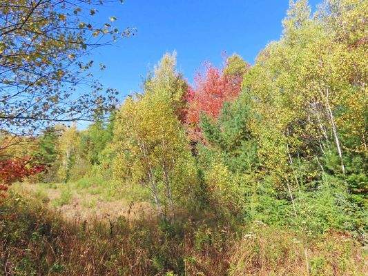 Nova Scotia - Smithfield - Wunderschönes 47-Hektar