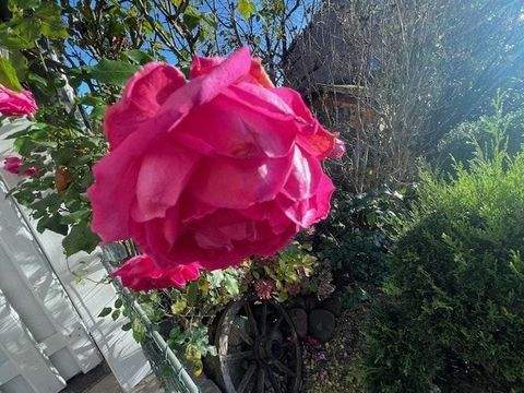 Dülmen Häuser, Dülmen Haus kaufen