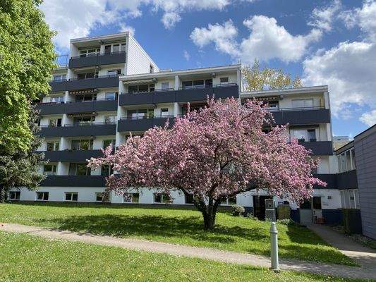 Lahnstraße, frühling