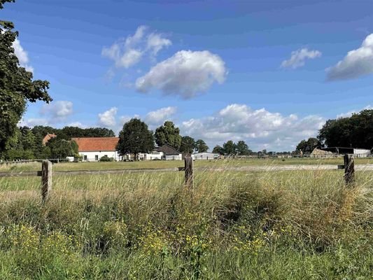 Bild3